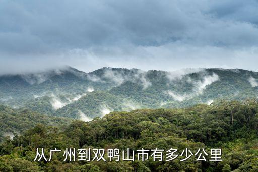 廣州市到黑龍江雙鴨山多少公里，從廣州到雙鴨山市有多少公里