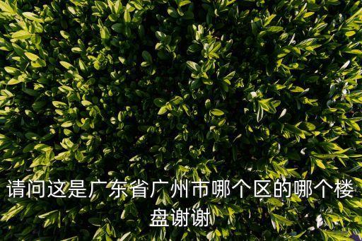 請問這是廣東省廣州市哪個區的哪個樓盤謝謝