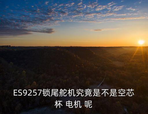 廣州610舵機空心杯電機，ATMEGA16A控制空心杯電機的問題