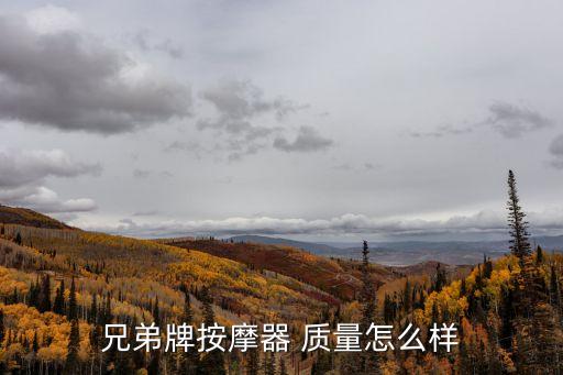 兄弟牌按摩器 質量怎么樣