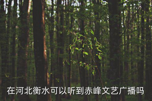 在河北衡水可以聽到赤峰文藝廣播嗎