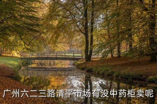 廣州六二三路清平市場(chǎng)有沒中藥柜賣呢