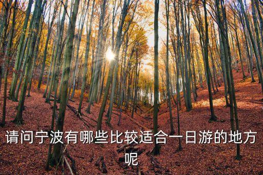 寧波一日游，寧波市區有什么好玩的呀 一日游之類的