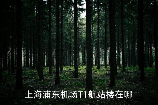上海市浦東機場t1在哪里，上海浦東機場t1在哪一個航站樓