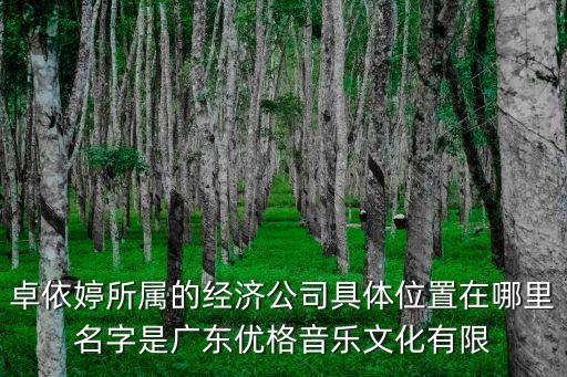 廣州優格電子有限公司，優格是什么公司