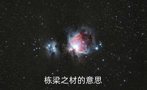 棟梁之材的意思