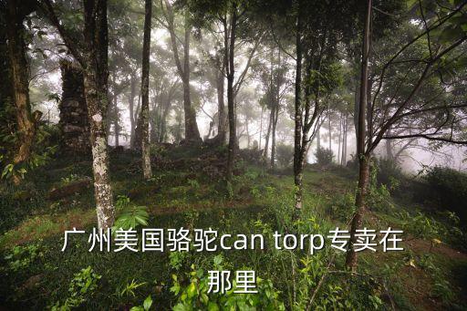 廣州美國駱駝can torp專賣在那里