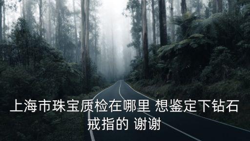 上海市珠寶質檢在哪里 想鑒定下鉆石戒指的 謝謝