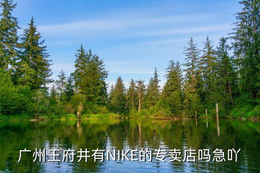 廣州王府井專賣店，廣州王府井有NIKE的專賣店嗎急吖