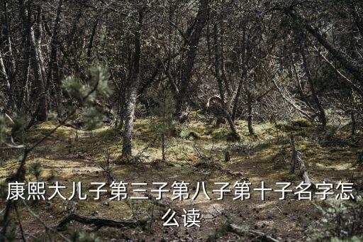 康熙大兒子第三子第八子第十子名字怎么讀