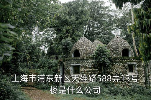 上海市浦東新區天雄路588弄13號樓是什么公司