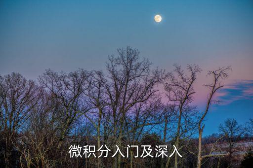 微積分入門及深入