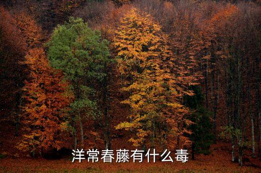 洋常春藤，這棵是啥花
