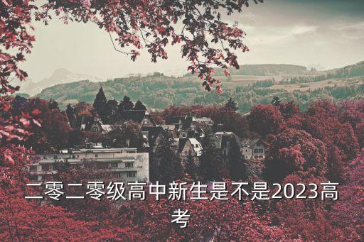 二零二零級高中新生是不是2023高考
