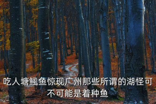 吃人塘鲺魚驚現廣州那些所謂的湖怪可不可能是著種魚