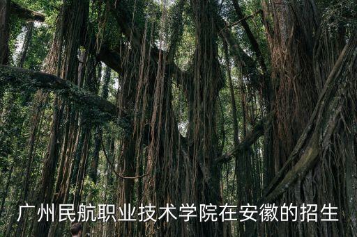 廣州民航職業技術學院在安徽的招生