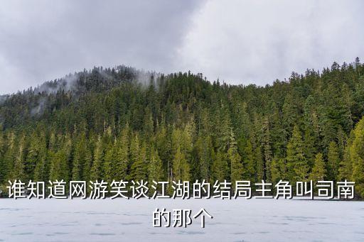 廣州司南天線公司田進(jìn)鋒，誰知道網(wǎng)游笑談江湖的結(jié)局主角叫司南的那個(gè)