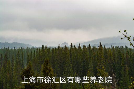 上海市徐匯區(qū)有哪些養(yǎng)老院