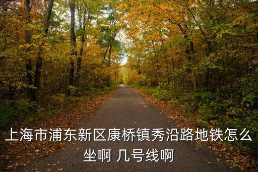 上海市秀沿路地鐵站的電話，上海市浦東新區康橋鎮秀沿路地鐵怎么坐啊 幾號線啊