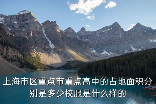 上海市揚子中學占地面積，上海市揚子中學