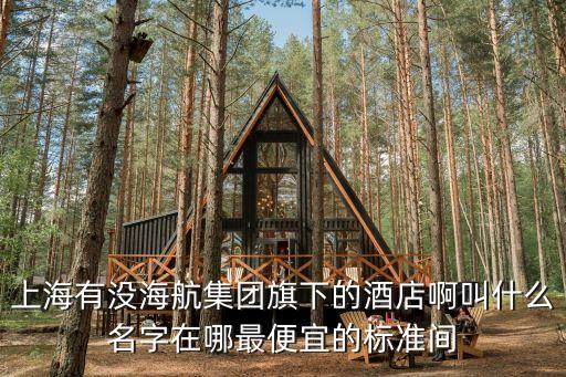 上海有沒海航集團旗下的酒店啊叫什么名字在哪最便宜的標準間