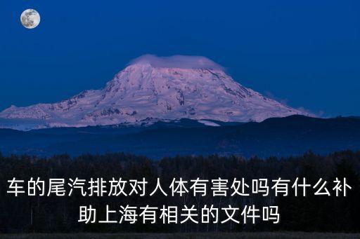 上海市廢氣整治補貼，車的尾汽排放對人體有害處嗎有什么補助上海有相關的文件嗎