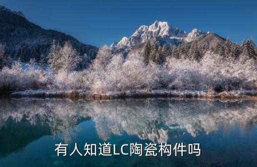 有人知道LC陶瓷構件嗎