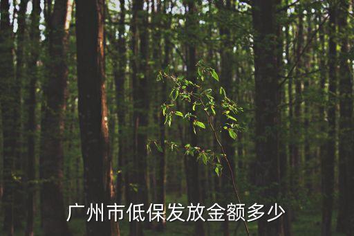 廣州市低保新政，廣州市低保發放金額多少