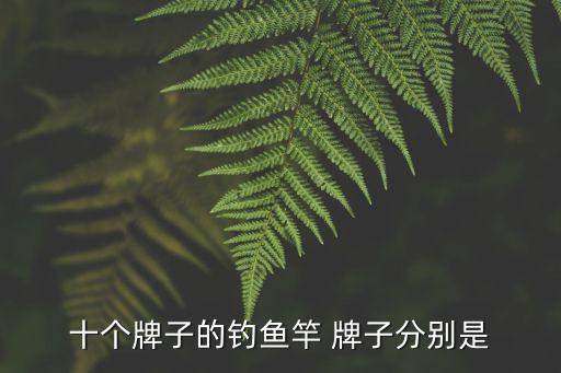 魚竿十大名牌排名，十個牌子的釣魚竿 牌子分別是