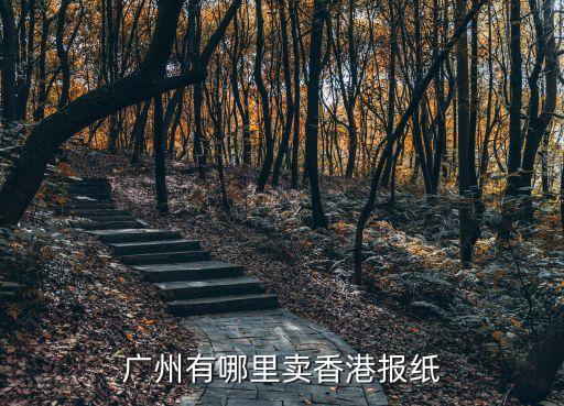 廣州報亭有什么報紙，廣州有什么報刊