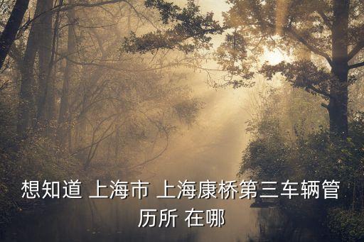 想知道 上海市 上海康橋第三車輛管歷所 在哪