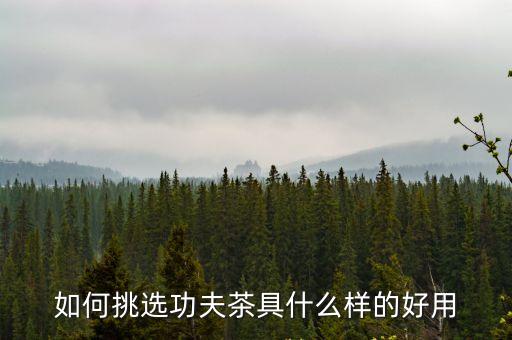 工夫茶具，如何挑選功夫茶具什么樣的好用