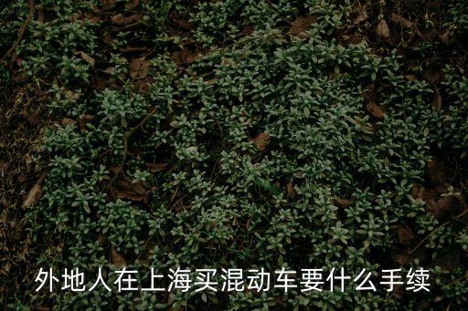 外地人在上海買混動車要什么手續