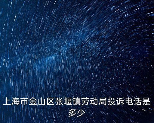 上海市金山區張堰鎮勞動局投訴電話是多少