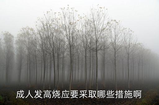 成人發(fā)高燒應要采取哪些措施啊