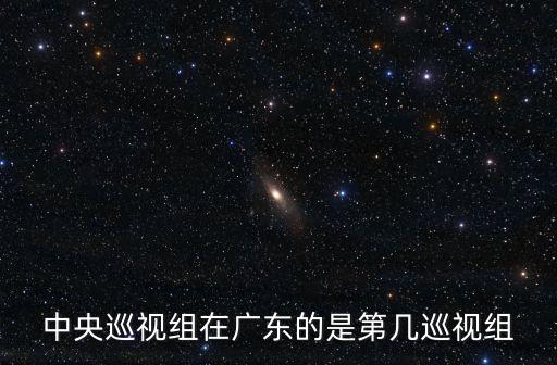 中央巡視組在廣東的是第幾巡視組