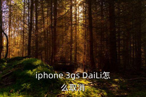 iphone 3gs DaiLi怎么取消
