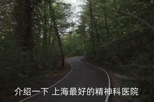 介紹一下 上海最好的精神科醫院
