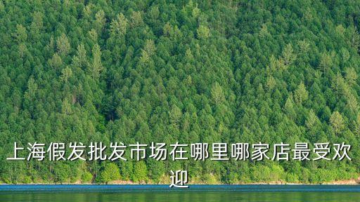 上海市場假發(fā)，上海假發(fā)批發(fā)市場在哪里哪家店最受歡迎