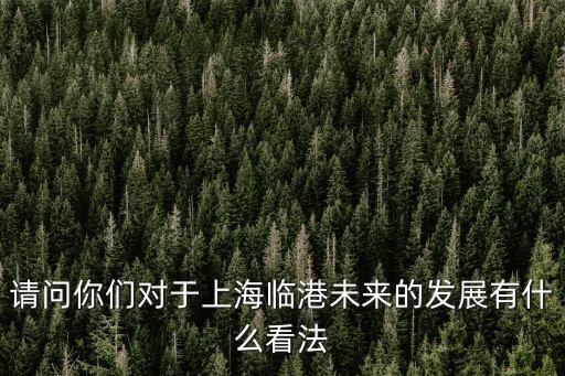 上海市臨港新城發展前景，政府對臨港新城的未來規劃如何