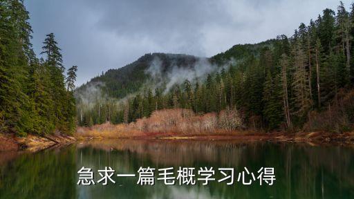 毛概讀書報告，學習毛概的心得1000字左右