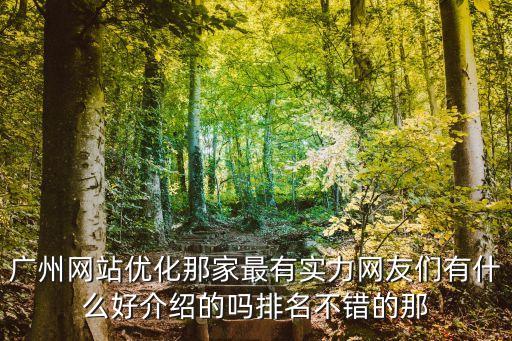 廣州網(wǎng)站優(yōu)化那家最有實(shí)力網(wǎng)友們有什么好介紹的嗎排名不錯(cuò)的那