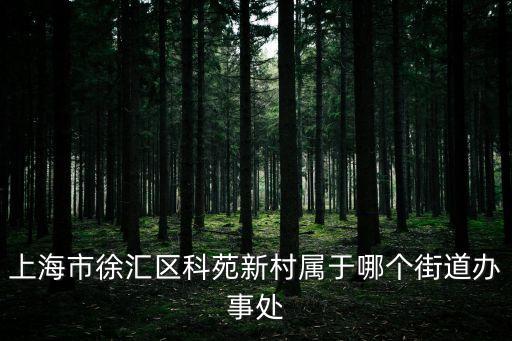上海市科苑居委會，上海市徐匯區科苑新村屬于哪個街道辦事處