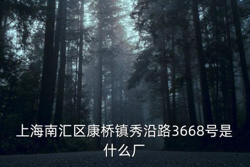 上海市南匯區(qū)康橋，上海南匯區(qū)康橋鎮(zhèn)秀沿路3668號(hào)是什么廠