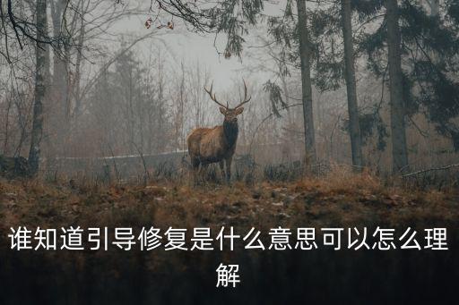 誰知道引導修復是什么意思可以怎么理解