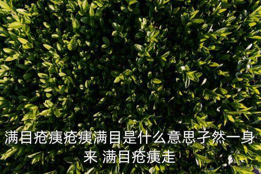 滿目瘡痍，滿目瘡痍瘡痍滿目是什么意思孑然一身來 滿目瘡痍走