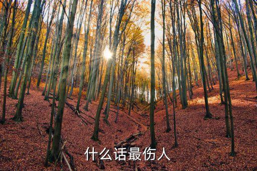 什么話最傷人