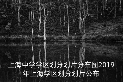 上海中學學區劃分劃片分布圖2019年上海學區劃分劃片公布