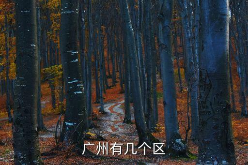 廣州有第十二個區(qū)規(guī)劃，廣州有幾個區(qū)