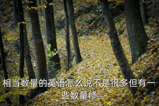 相當數量的英語怎么說不是很多但有一些數量修
